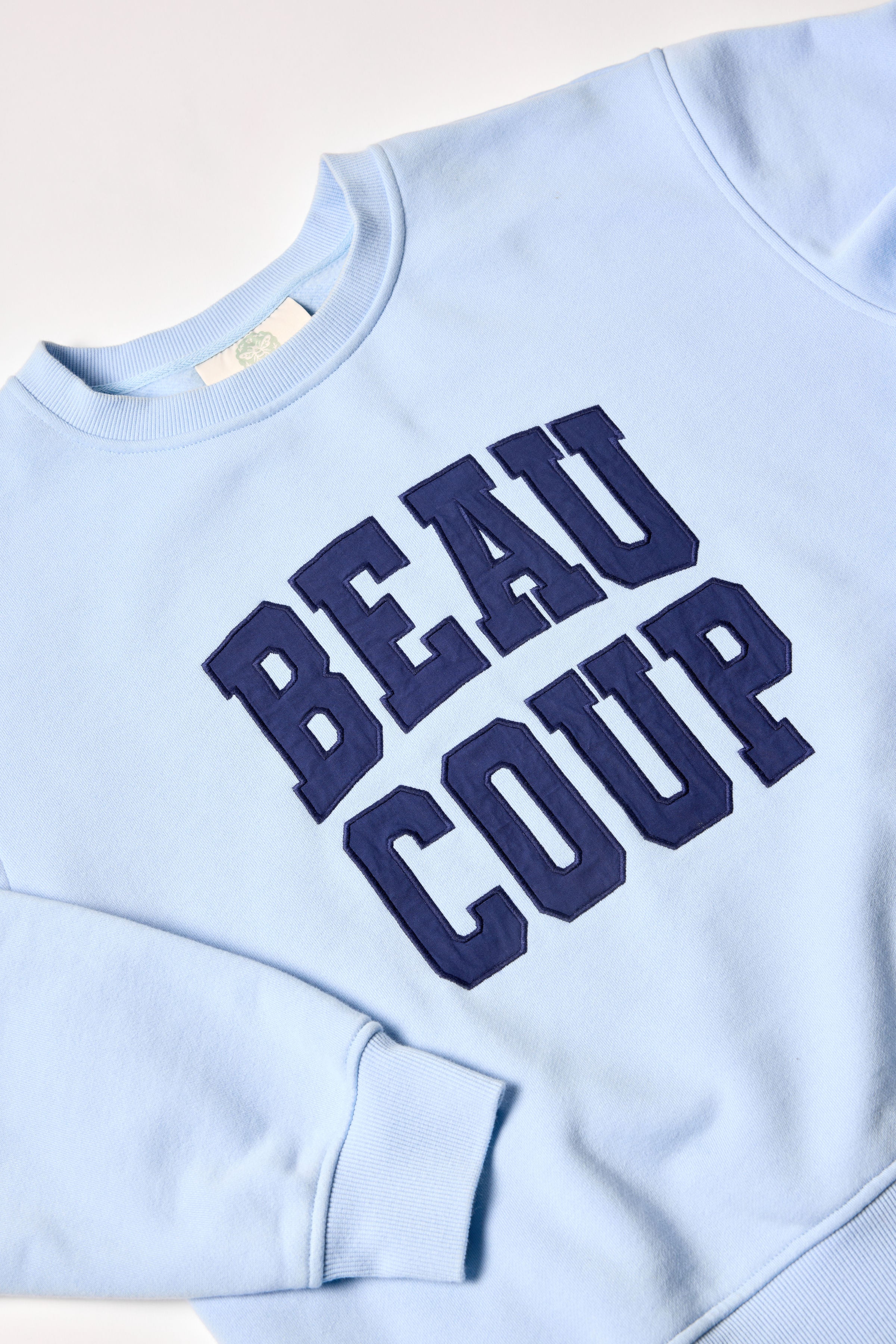 Adult Sweatshirt Blue