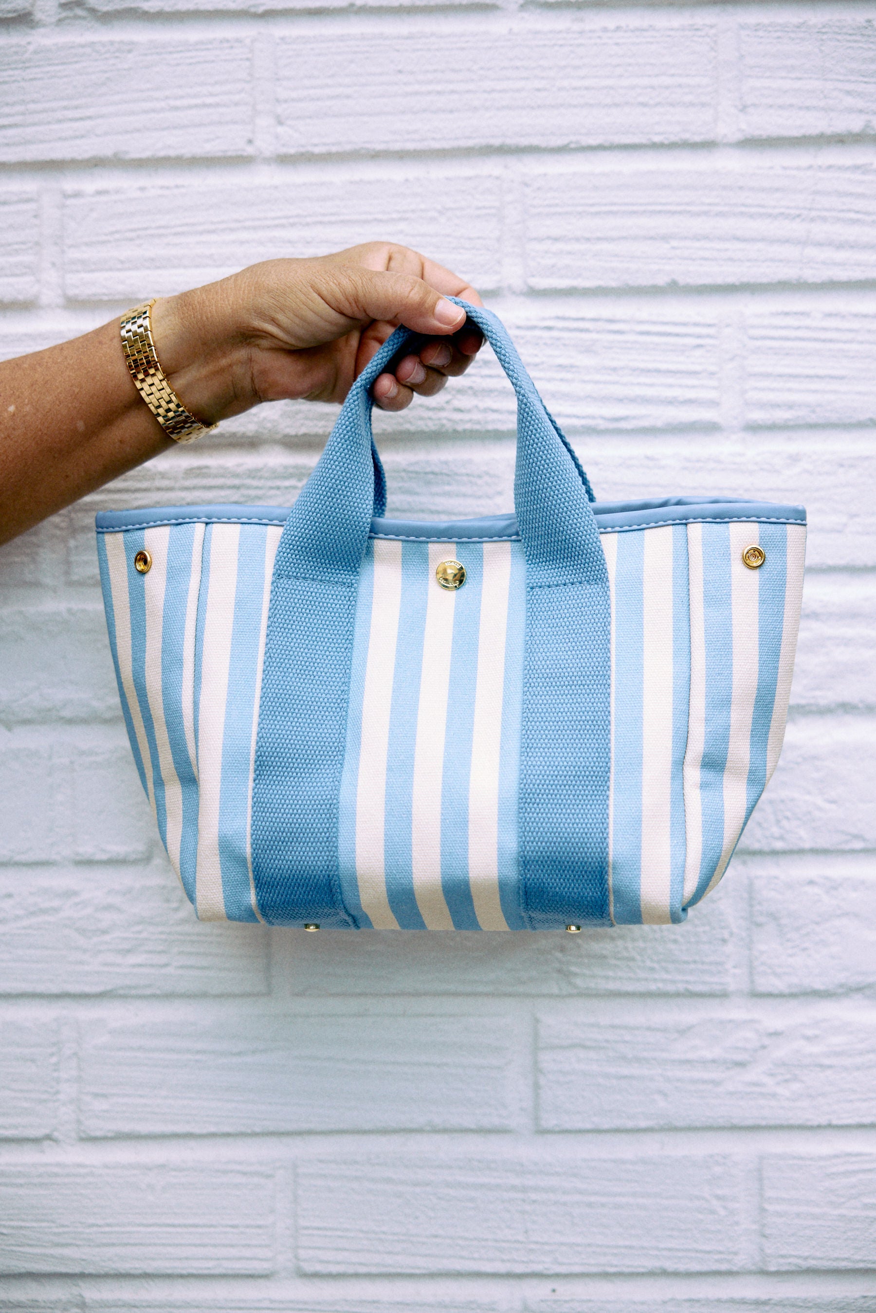 The Riviera Hive Mini
